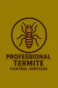Professional termite control services